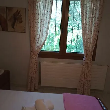 Elpida شقة *